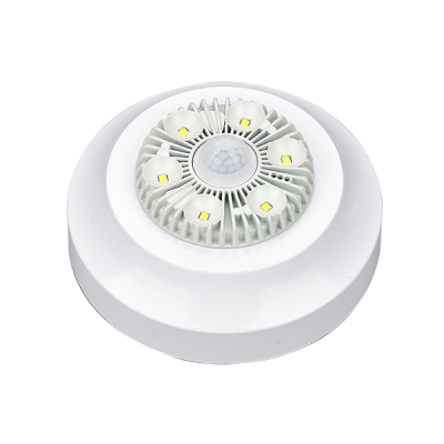 吸頂式E6W91B/E10W91B集中電源型應(yīng)急照明燈